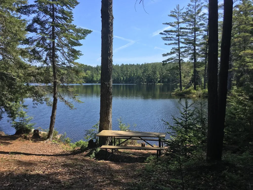 An island picnic area on Lowell Lake in Londonderry, Vermont. 