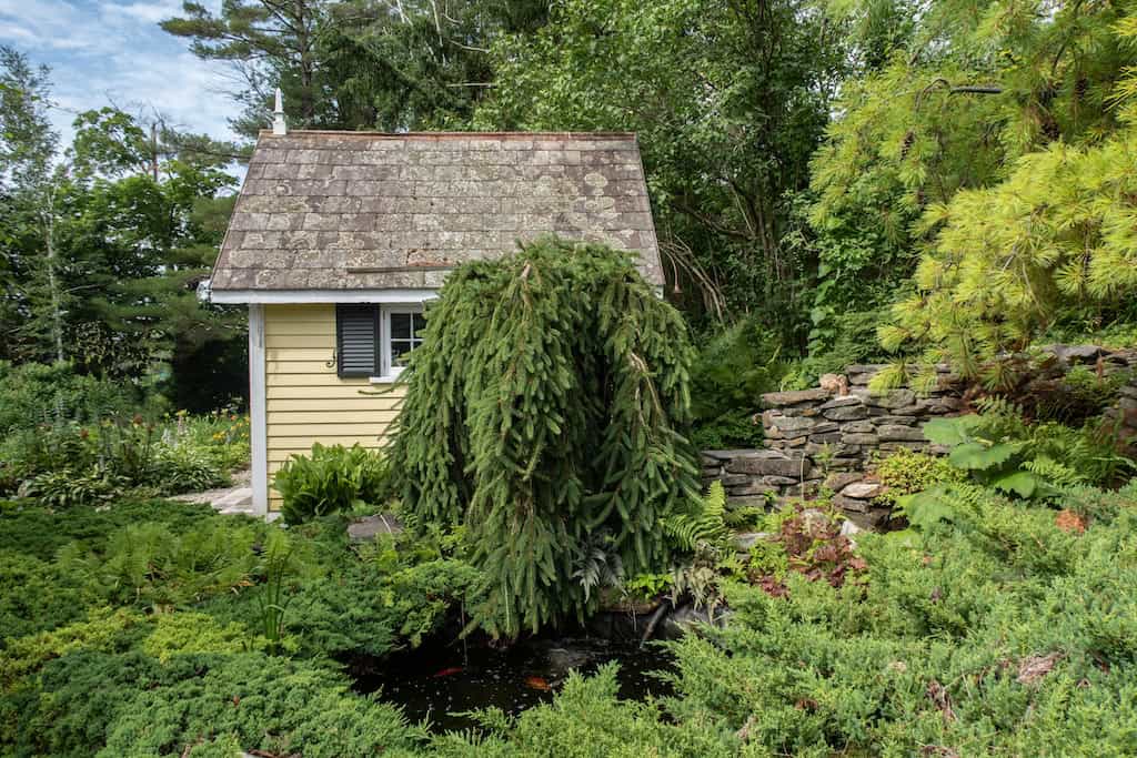 The koi pond tucked in a mature garden off the patio. 