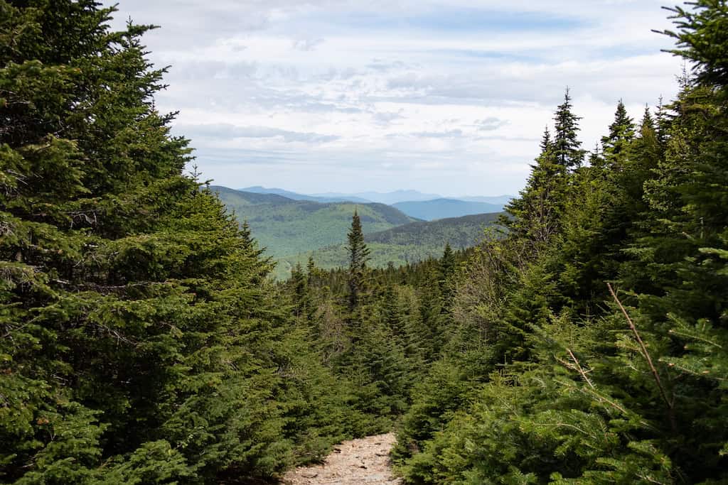 Spruce, fir, and distant views where Sterling Pond Trail meets the Long Trail. 