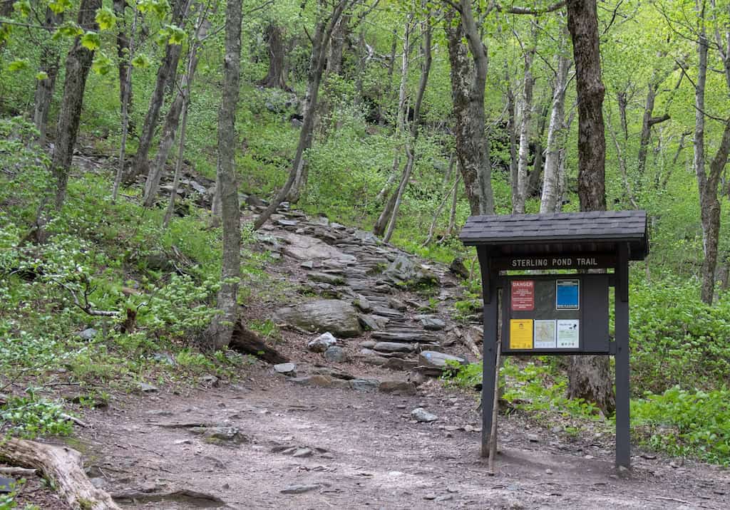 Sterling Pond Trailhead.