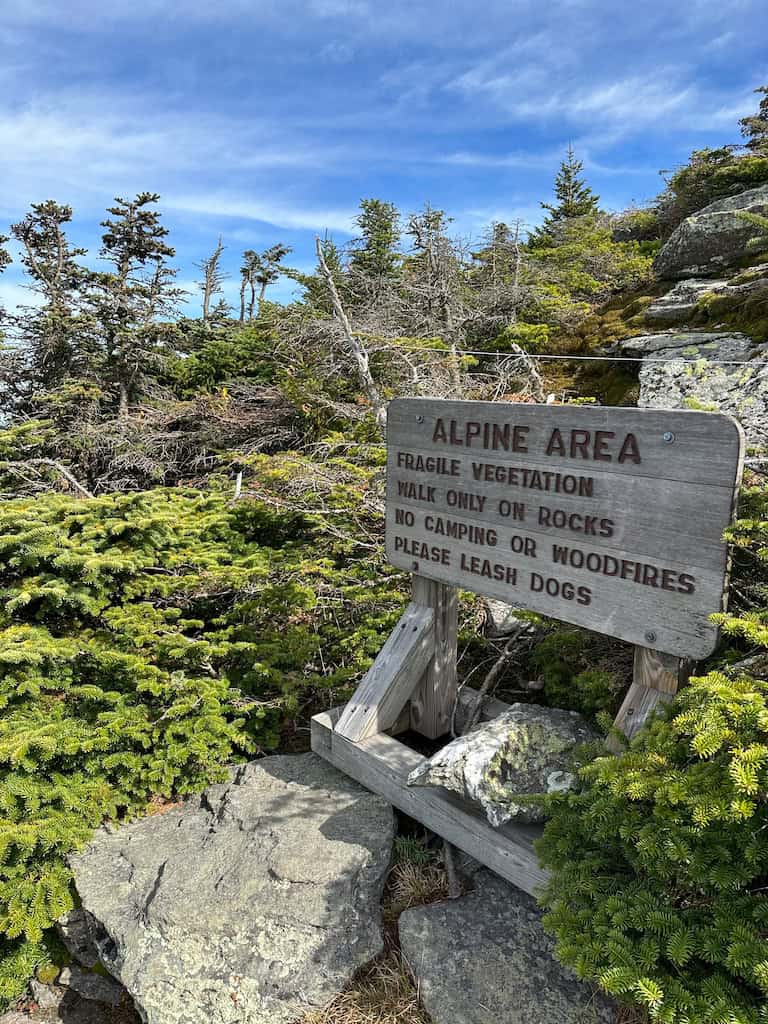 Fragile vegetation sign near the summit of Camel's Hump. 