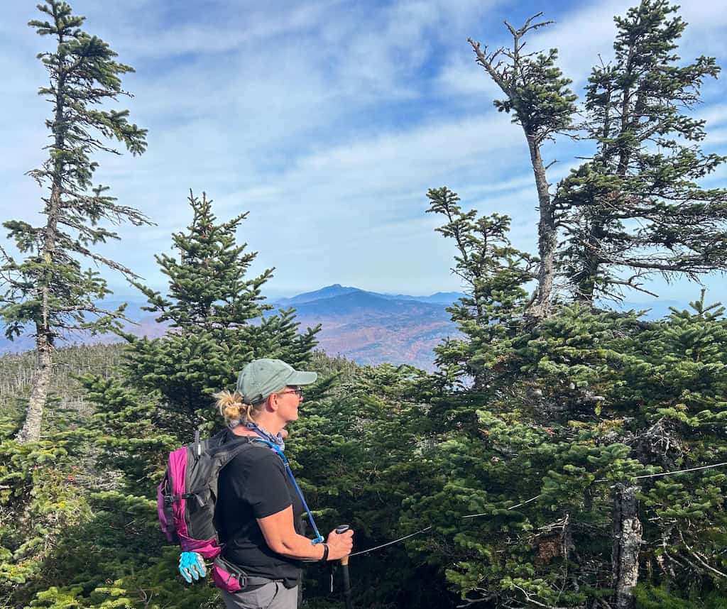 Tara stands near a stand of small spruce trees on the Burrows Trail on Camel's Hump.