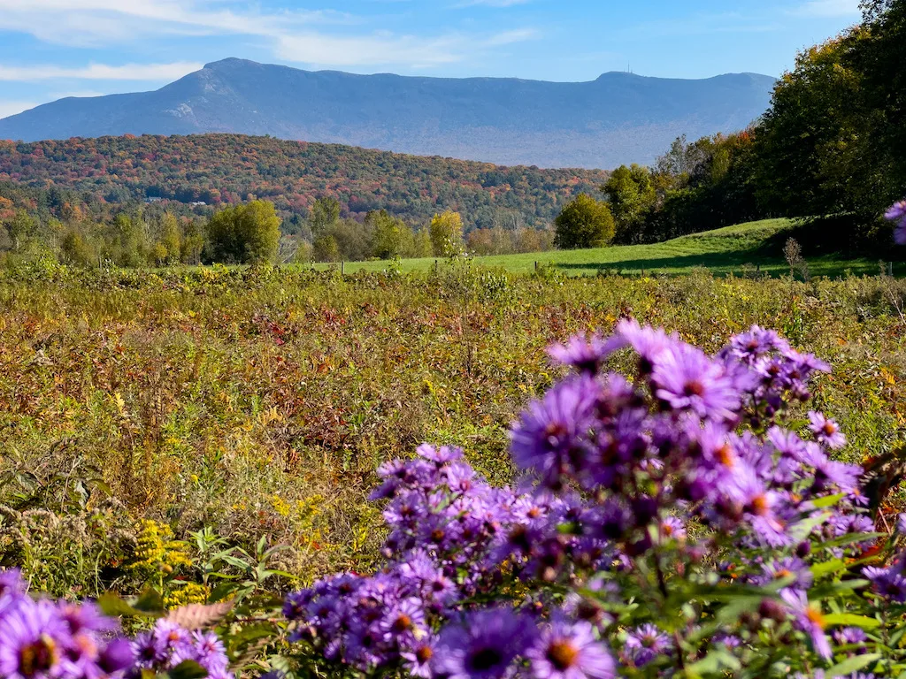 Mount Mansfield Views from Mill Riverside Park in Jericho.