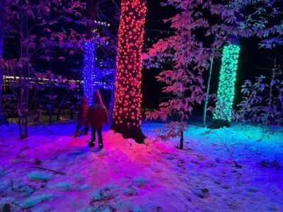 A Forest of Lights Coming to VINS in Quechee