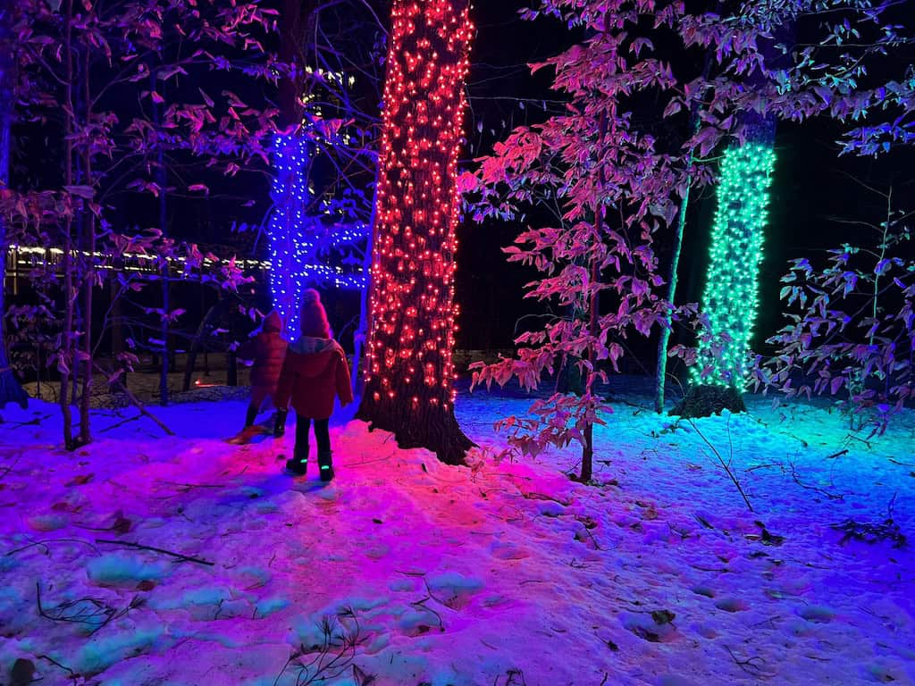 Forest of Lights at VINS