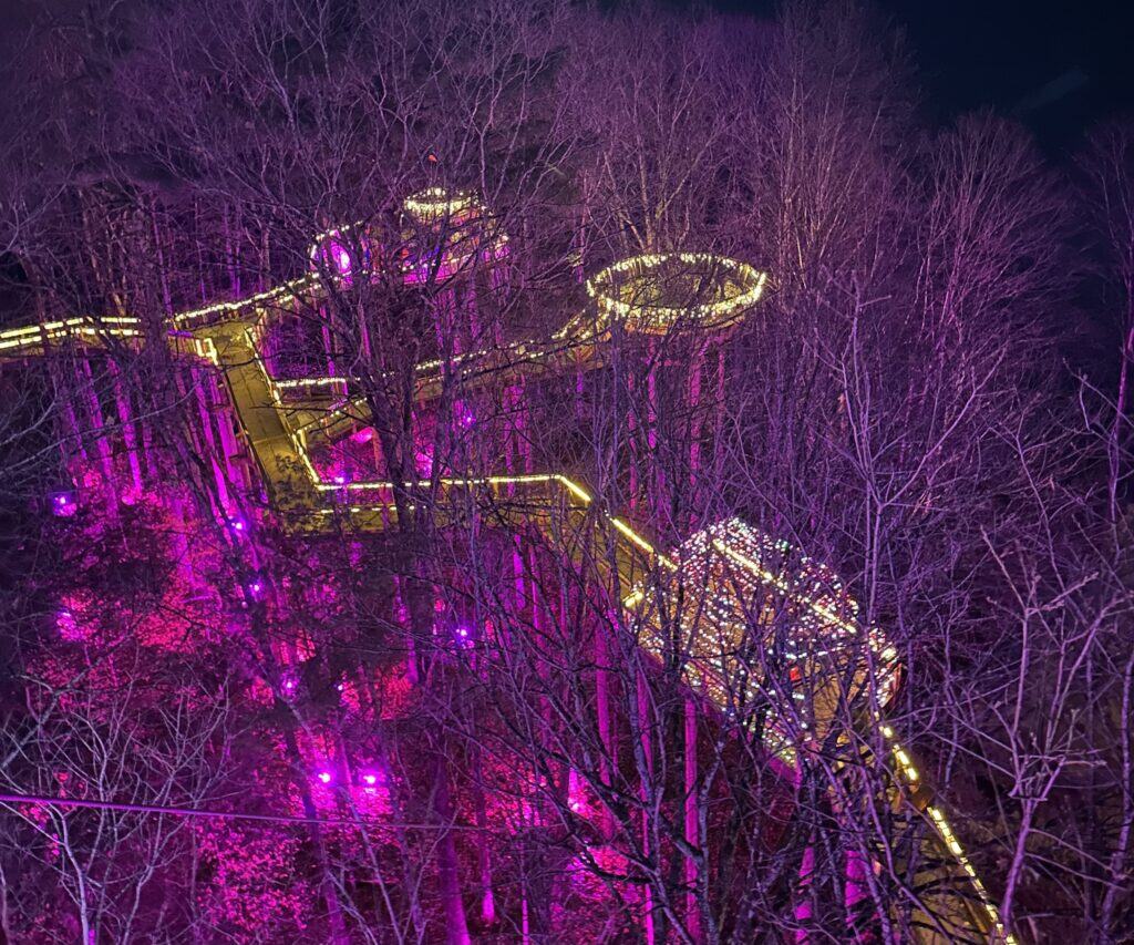 The Forest Canopy Walk at Forest of Lights