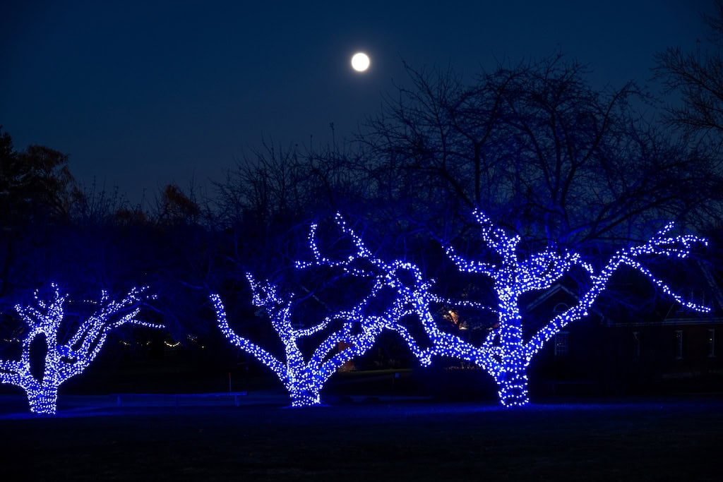 A full moon at Winter Lights.