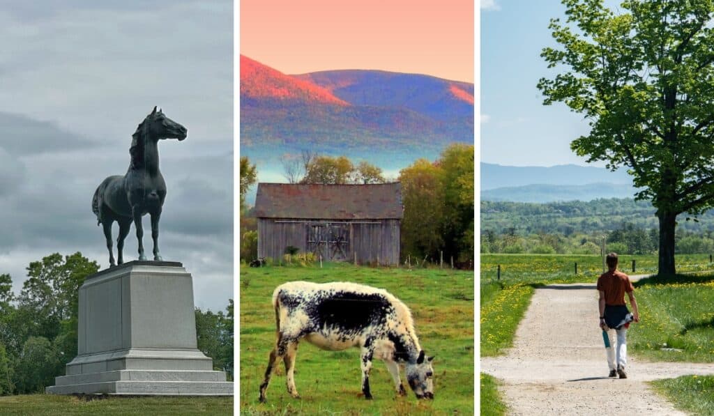 8 Vermont Farms You Can Actually Visit (Tours, Baby Animals & Local Food)