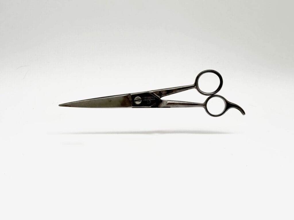 Elliott Katz, "Pride'n Beauty" (2025), cast bronze.