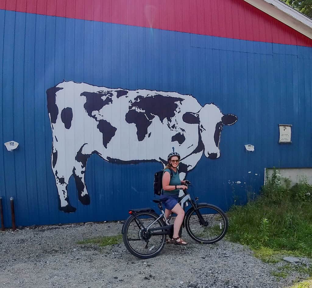 Tara posing with a trailside cow mural in Johnson, Vermont. 