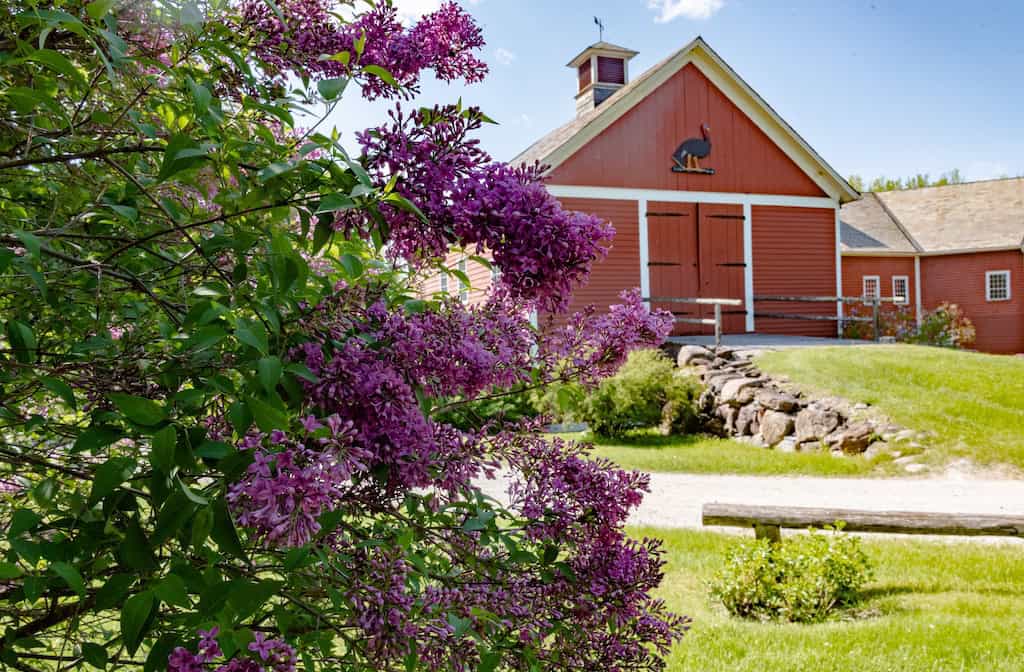 A red barn at the Shelburne Museum.