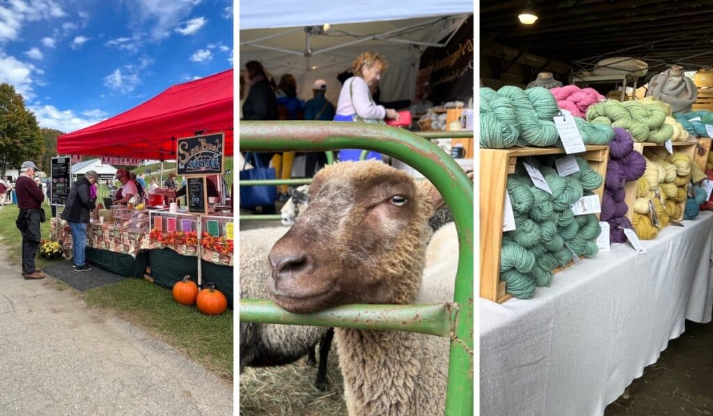Celebrate Fiber and Farming at the 37th Vermont Sheep & Wool Festival
