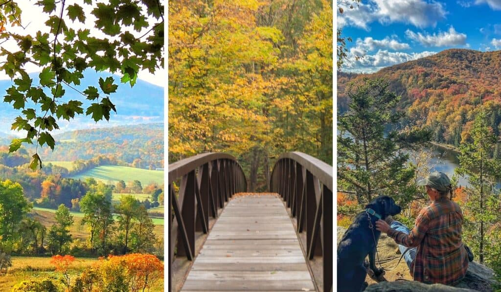 A collage of fall foliage photos featuring hiking trails in southern Vermont.