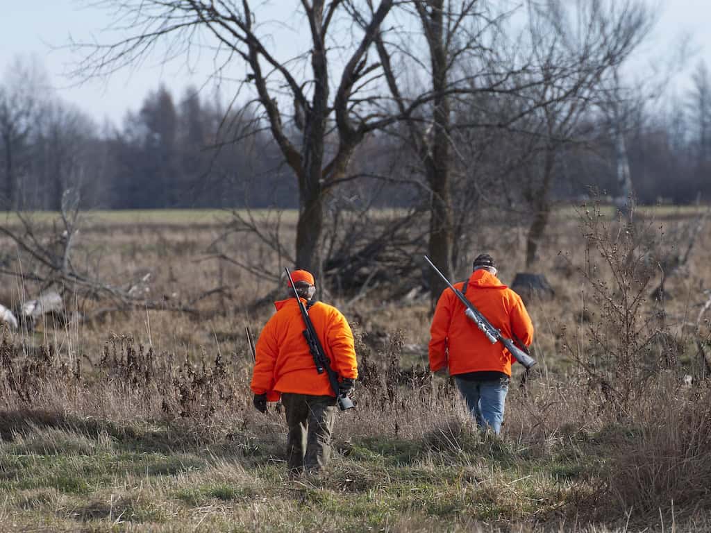 Hunters walking through a field during deer season.