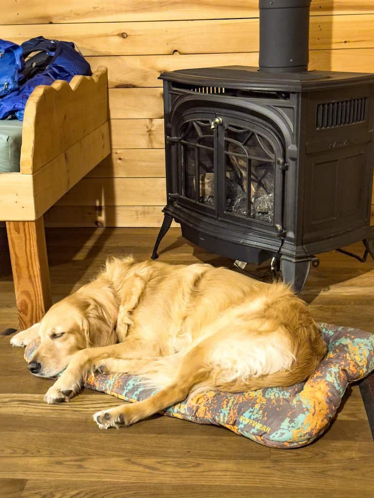 Zelda sleeping in front of the propane stove. 