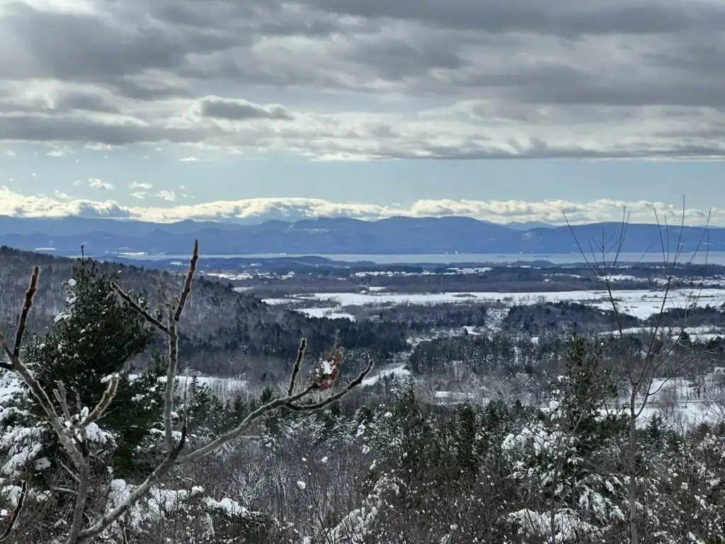 The view from Five Tree Hill.
