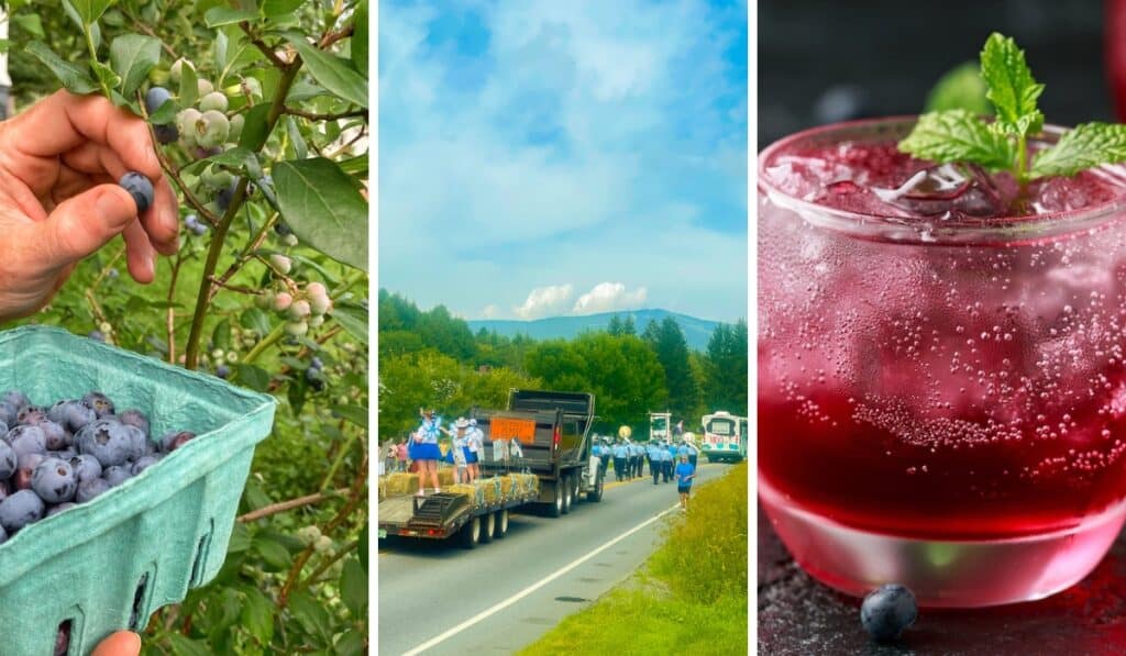 Ten Days of Blue: Your Guide to the 2026 Deerfield Valley Blueberry Festival