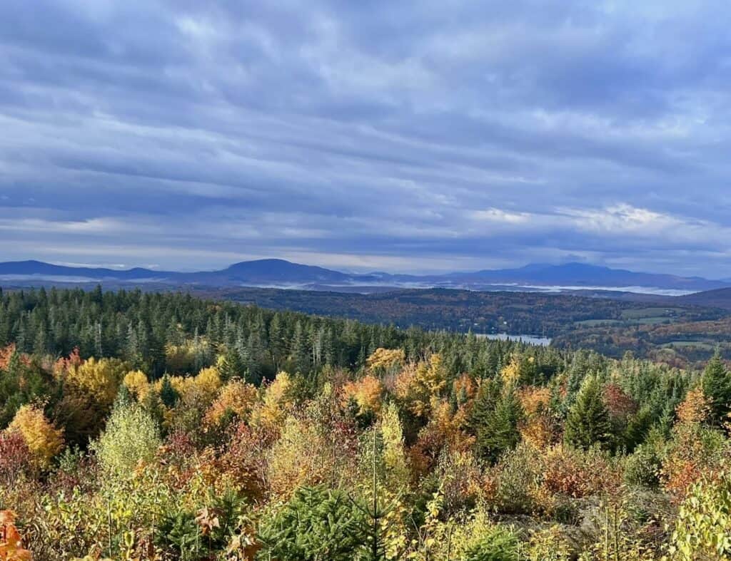 Fall views from Barr Hill in Greensboro.
