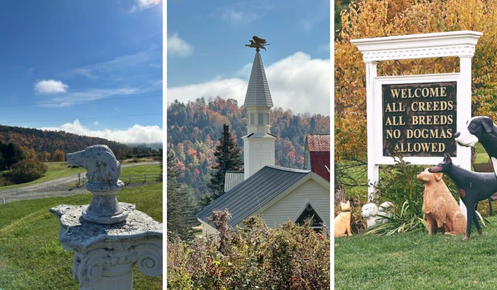 Go Leaf-Peeping With Your Pup: The Fall Dog Party Returns to Dog Mountain on October 3rd